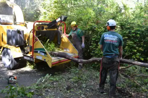 tree services Linnell Camp